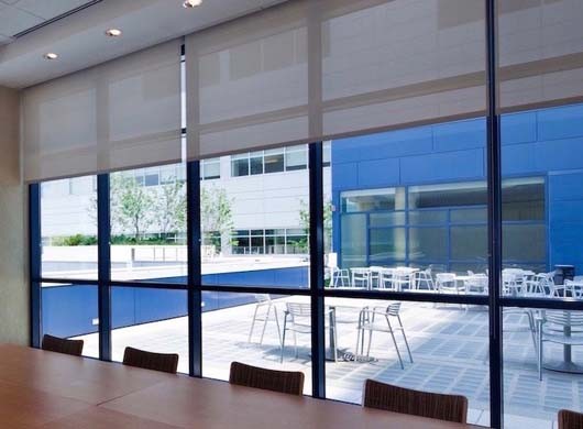 Commercial Roller Screen Shades in Office
